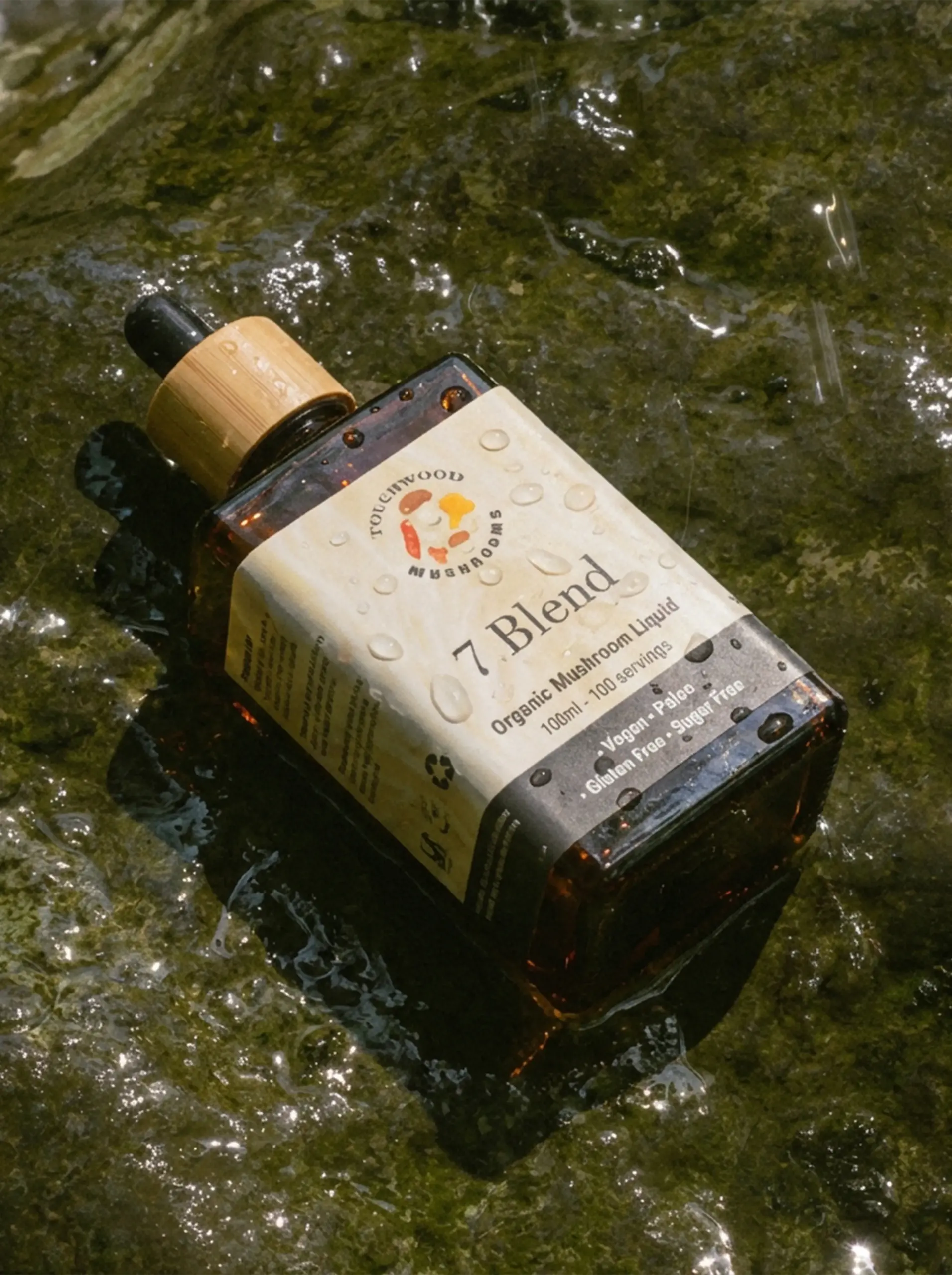 Touchwood-Mushroom-7-Blend-Mushroom-scaled